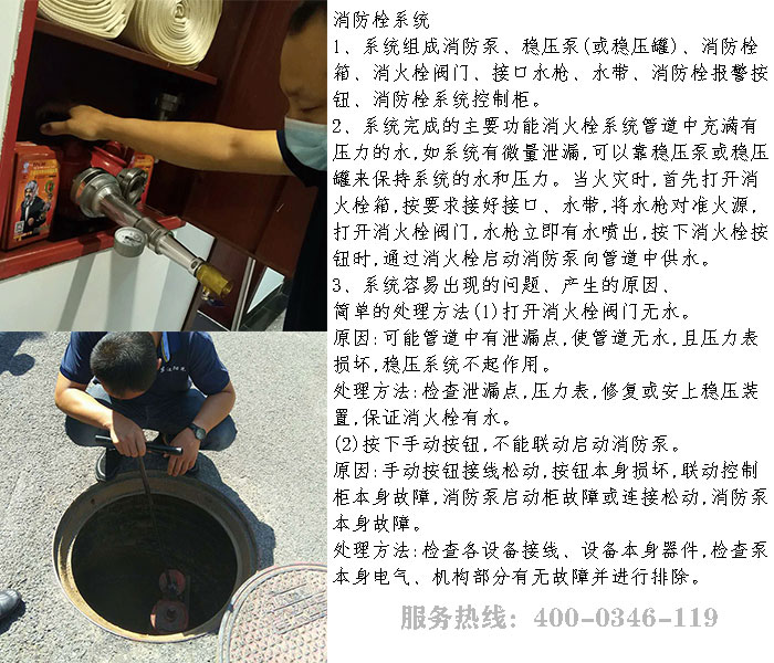 ����˨ϵ�y����